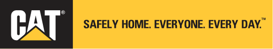 cat safely home logo